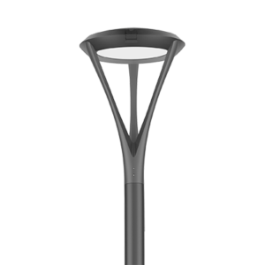 Giungla P1